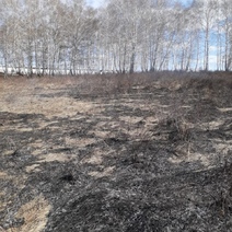В Шарлыкском районе горела сухая трава на площади 500 