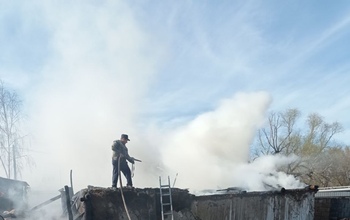 В Сакмарском районе огонь уничтожил надворные построки