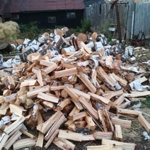 В Оренбуржье экс-директор лесхоза вернет 811 000 рублей за вырубленные березы