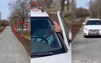 Оренбуржцы не дали проехать автохаму по пешеходной дорожке в парке 
