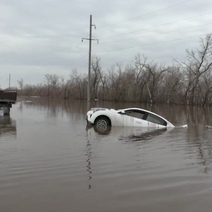 Спасли людей из тонущего авто: полицейские из Оренбуржья награждены медалями от МВД РФ