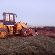 В Кваркенском районе установлен факт самовольного снятия плодородного слоя почвы
