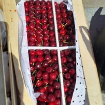 В Оренбургскую область поступили первые партии черешни и абрикосов