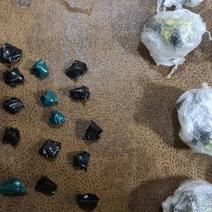 В Оренбурге молодые девушки-наркоторговцы лишились свободы на долгий срок