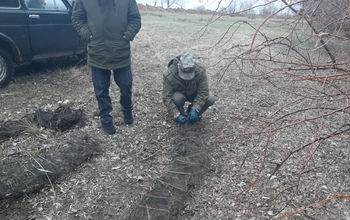 В Ташлинском районе браконьер незаконно выловил почти 2 000 раков