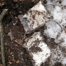 В Оренбурге задержан закладчик с 1,5 кг синтетического наркотика