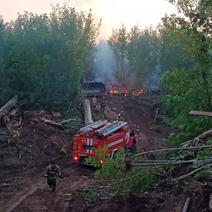 В Оренбургской области могут вообще запретить сжигать сухую траву