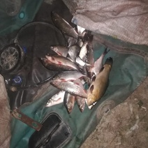 Рыбачивший с сетью житель Оренбургского района рискует 