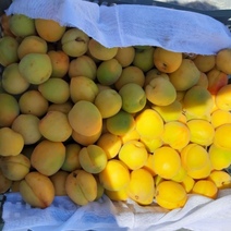 В Оренбуржье за 10 дней ввезли 4 000 тонн фруктов и овощей