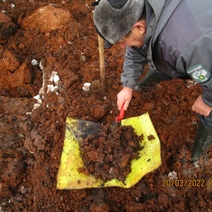 «ННК-Оренбургнефтегаз» оштрафован за порчу и уничтожение плодородного слоя почвы