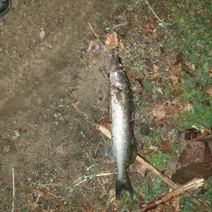 Рыбак из Новоорска 