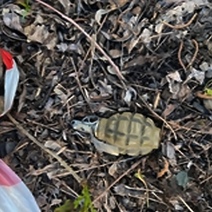 Житель Кувандыка обнаружил предмет, похожий на гранату