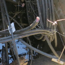 В Бугуруслане мужчина похитил 110 метров кабеля телефонной связи