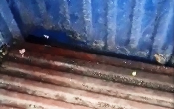 В Оренбурге в подвале многоэтажки замуровали котят