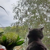 Оренбуржцы в любой погоде находят великолепие