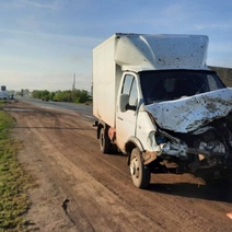 На трассе Оренбург-Орск из-за водителя «Газели» погибло пять коров (18+)