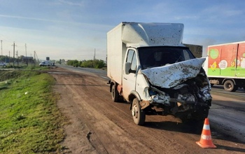 На трассе Оренбург-Орск из-за водителя «Газели» погибло пять коров (18+)