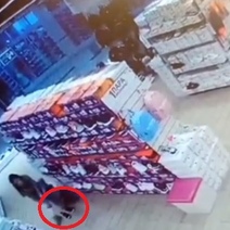 18-летняя гастролерша из Саракташа украла в оренбургском магазине обувь и рюкзак