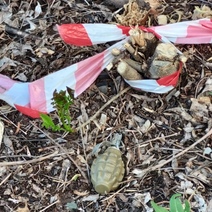 В Кувандыке на территории предприятия кто-то выкинул 