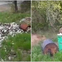 Оренбуржцев возмутила новая свалка у лесополосы