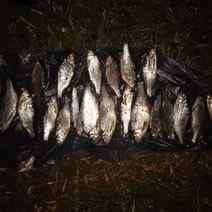 Рыбак из Бугуруслана рискует лишиться свободы за 10 лещей