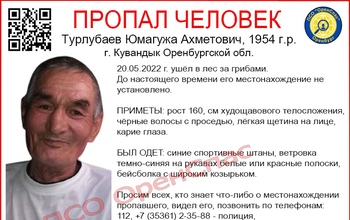 Ушел в лес за грибами: в Кувандыке без вести пропал пенсионер