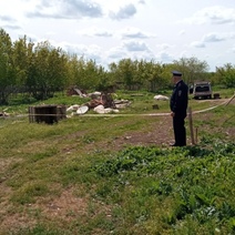 Вместо грибов после дождя: две недели в разных районах Оренбуржья находят снаряды