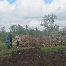 Пенсионер из Переволоцкого района сделал забор из незаконно срубленных кленов