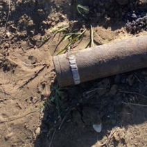 В Первомайском районе нашли артиллерийский снаряд времен гражданской войны