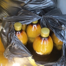 Через Оренбургскую область без документов перевозили свыше 400 кг мёда и кумыса