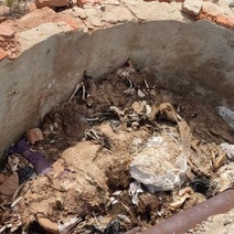 Опасный скотомогильник близ посёлка Нижнесакмарский решили закрыть