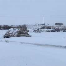 В Оренбуржье осудили зоотехника за хищение имущества СПК