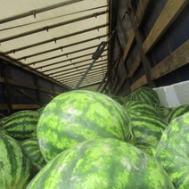 В Оренбургскую область поступили первые партии арбузов