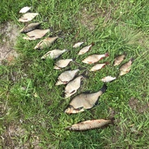 В Новоорском районе задержали рыбака-браконьера с сетью