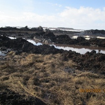 «ННК-Оренбургнефтегаз» снова оштрафован за порчу и уничтожение плодородного слоя почвы