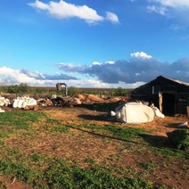 Погибла птица, повреждено зерно: в Переволоцком районе горел склад на 300 