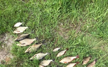 В Новоорском районе задержали рыбака-браконьера с сетью