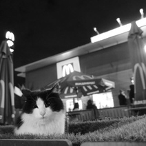 Как в Оренбурге попрощались с 