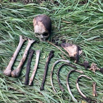 В Грачевском районе подростки-рыбаки обнаружили в овраге человеческий череп (18+)