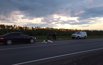 На трассе возле Переволоцкого погиб мужчина – он пытался «поймать попутку»