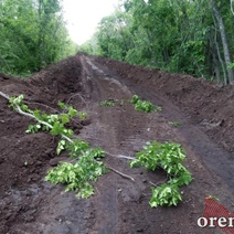 Как движется благоустройство лесополосы на ул. Березке в Оренбурге