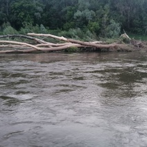В Оренбургской области утонувшего мужчину искали более суток (18+)