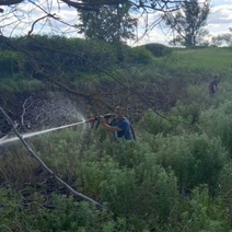 Бузулукский бор едва не сгорел из-за молнии, ударившей в дерево