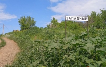 В Оренбургской области целые сёла зарастают бурьяном