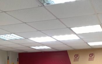 Больше никаких тайн: справедливороссы предлагают обнародовать результаты голосований в Заксобраниях региона