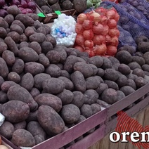 Хватит ли местных овощей для всех оренбуржцев