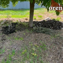 В Оренбурге асфальтовый срез ссыпали под деревья близ детской поликлиники