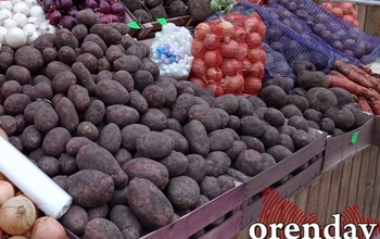 Хватит ли местных овощей для всех оренбуржцев
