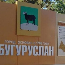 Бугурусланских чиновников обязали пустить транспорт между селами