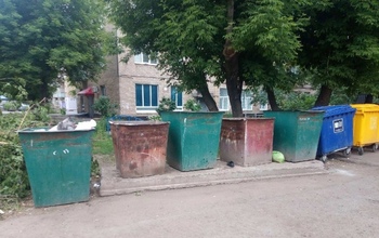 Мусорные баки в Оренбурге «цветут и пахнут»